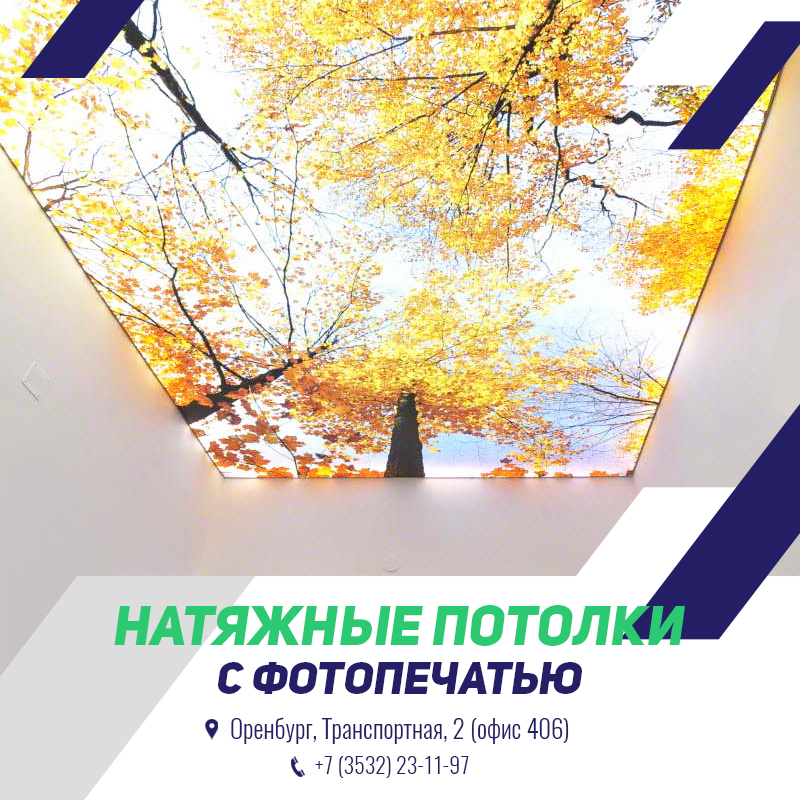 Натяжные потолки с фотопечатью